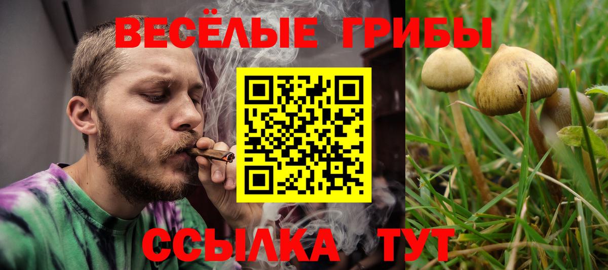 Псилоцибиновые грибы Cubensis  Вход с VPN  Котельники 