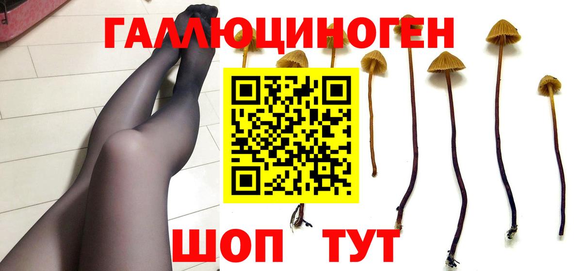 Галлюциногенные грибы ЛСД Котельники